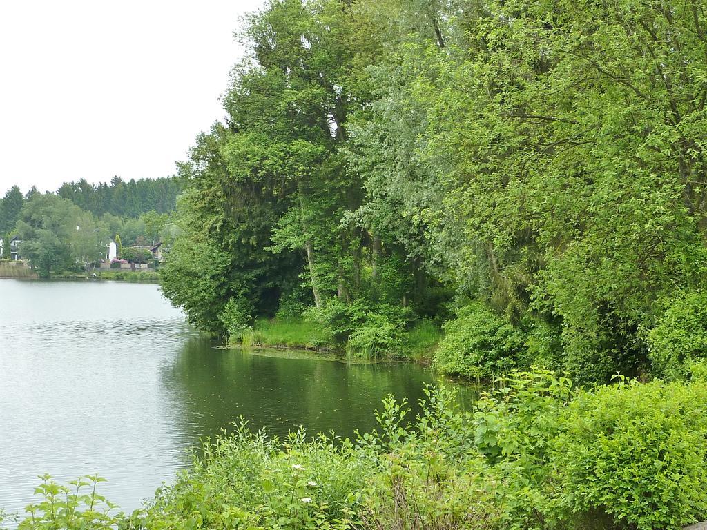 Business + Life Apartment Ferienwohnung Ransbach-Baumbach Bagian luar foto